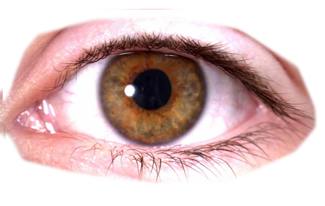 Eye
